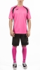 20150731_184127_rosa1_thumb.jpg