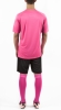 20150731_184128_rosa3_thumb.jpg