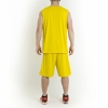 20160418_171326_1184_901_yellow_tras_thumb.jpg