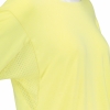 20170403_154850_900303.900_mesh_thumb.jpg