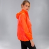 20190319_132816_900234.800_5_thumb.jpg