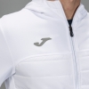 20190410_121625_101103.200_4_thumb.jpg