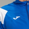 20190421_223222_101325.702_3_thumb.jpg