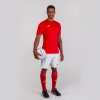 20190903_182943_100417.600_3_thumb.jpg