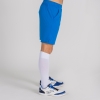 20190904_115009_100438.700_2_thumb.jpg