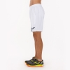 20190925_123145_101304.203_4_thumb.jpg
