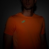 20191002_125904_101425.823_7_thumb.jpg