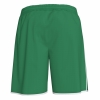 20191113_135041_101324_verde_back_thumb.jpg