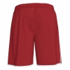 20191113_135053_101324_rojo_back_thumb.jpg