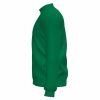 20191118_162147_101579_verde_left_thumb.jpg