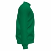 20191118_162148_101579_verde_right_thumb.jpg