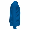 20191118_162221_101579_royal_right_thumb.jpg